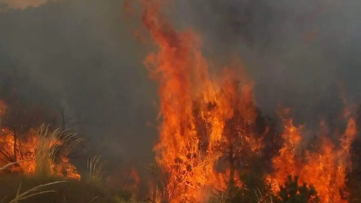 INCENDIO BALDIO (2)